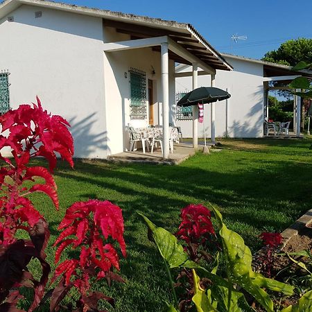 Bungalow Bei Emma Cavallino-Treporti Εξωτερικό φωτογραφία